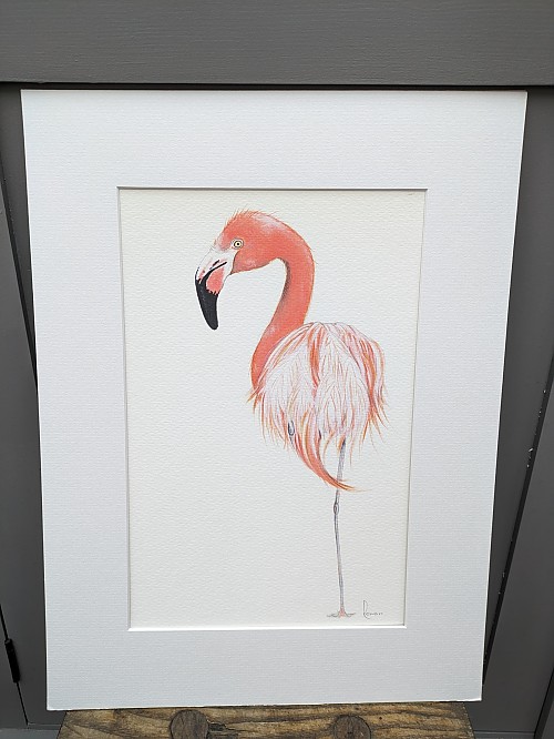 Flamingo giclee art print. 'Peggy' - Click to Enlarge