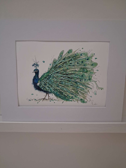 Peacock Art Print 