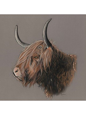 Original Highland Cow Art, "Bruce".