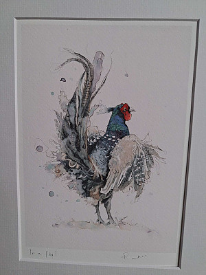 Pheasant Giclee Art Print. &nbsp;Watercolour Pheasant