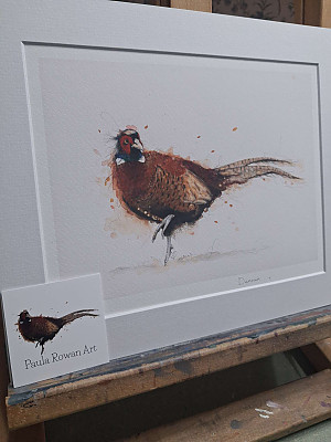 Pheasant Watercolour Giclee Print, Mounted Bird Art.