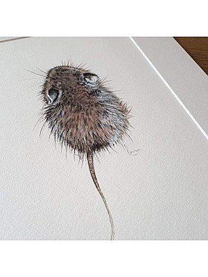 Mouse giclee art print. 'Tim'rous Beastie'.