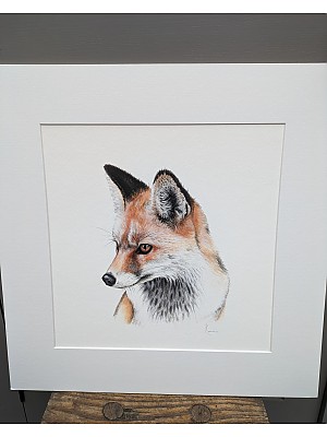 On The Prowl, Fox Art Print