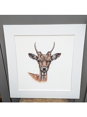 Harris, Fallow Deer Wall art print.