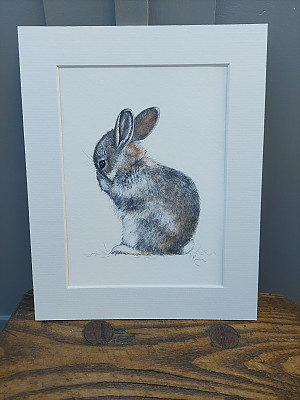 Bashful Bunny Art Print