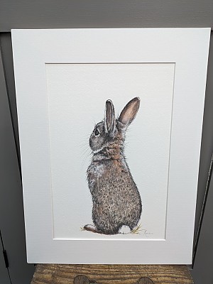 All Ears Rabbit wall art print.