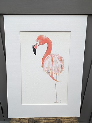Flamingo giclee art print. 'Peggy'