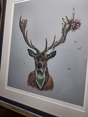 Framed Stag Limited Edition Giclee Print. &nbsp;"The Wild One".